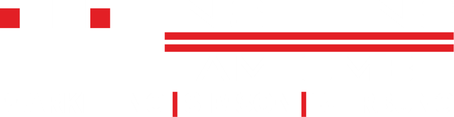 Einsteins Team GmbH